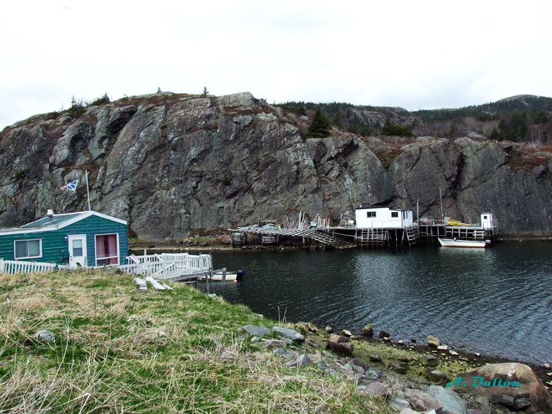 Quidi Vidi