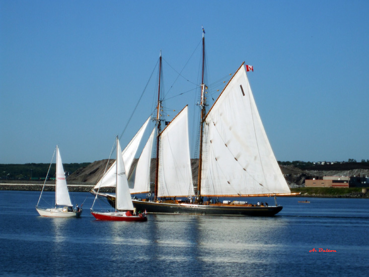 The Bluenose ll and Friends