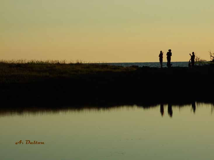 Silhouettes  On The Shore ~ Cheticamp