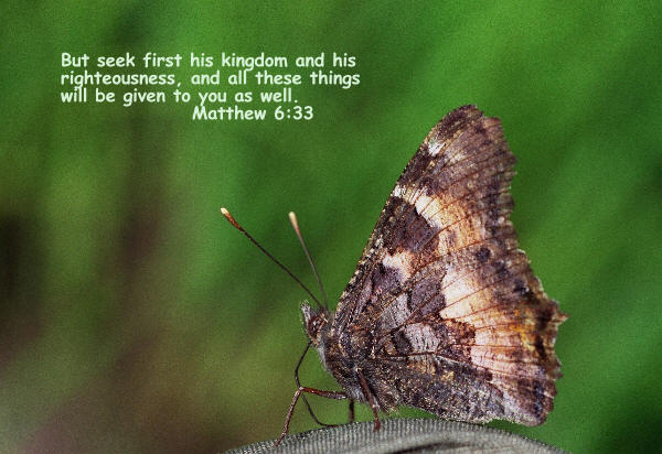 Matthew 6:33