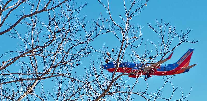 This A/C is tree trimming