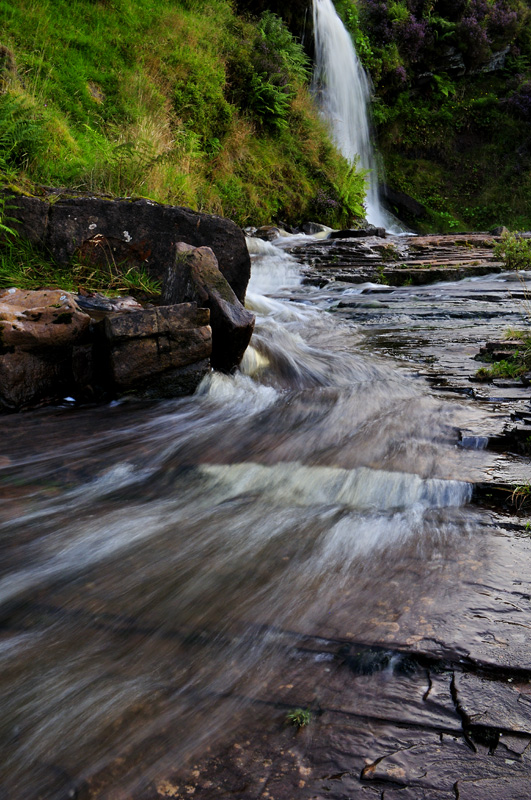 _DSC0417.jpg