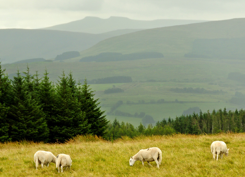 Pen-y-Fan in the distant gloom.