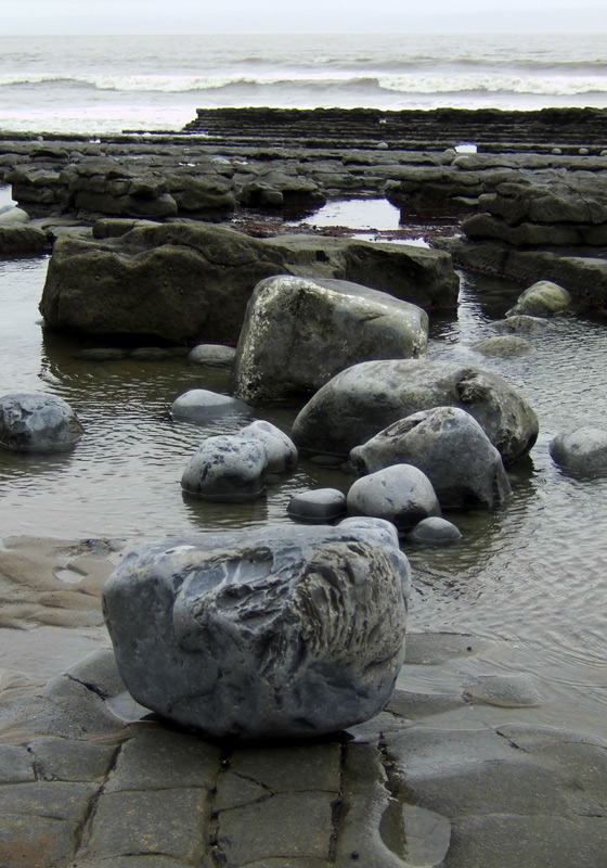 Looking seaward