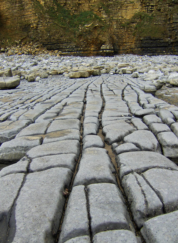 Lead in lines