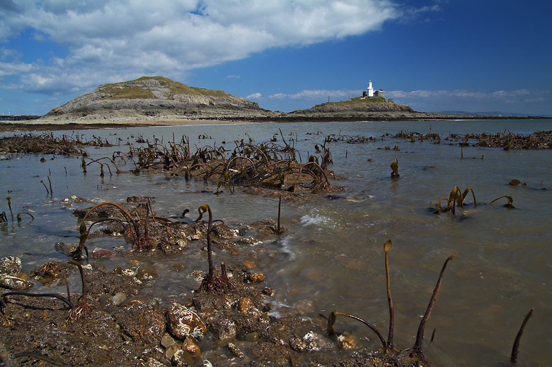 Lowest tide of the year, Bracelet Bay