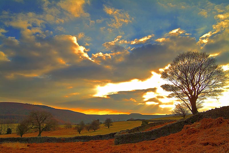 in the bleak mid winter