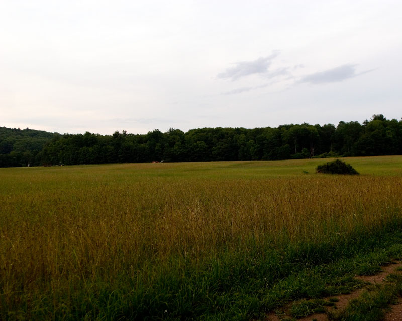 Afton Lake 7/4/08