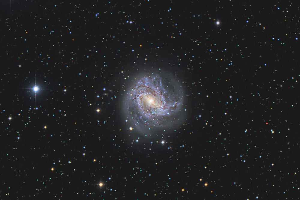 M83 in Hydra