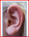 left ear.JPG