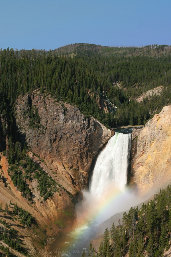 Canyon - Yellowstone Rivers Lower Falls