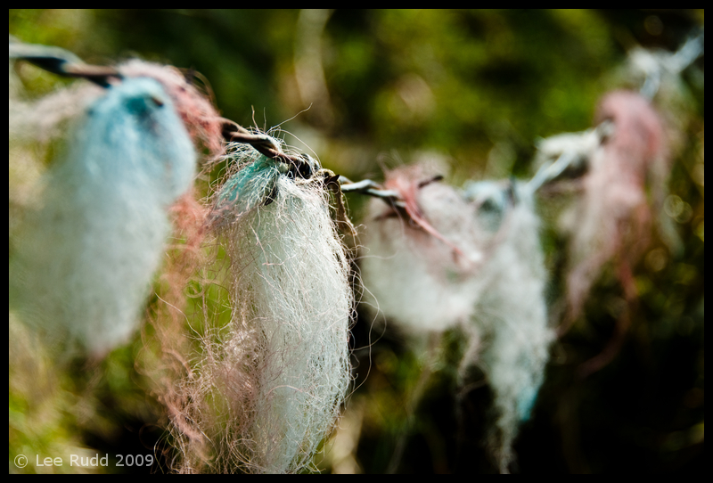 Hanging Colours
