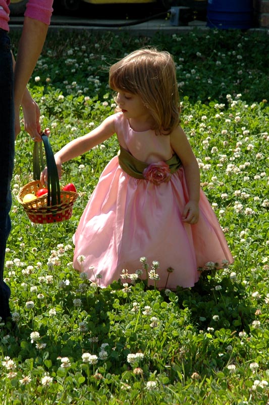 Easter Egg Hunt