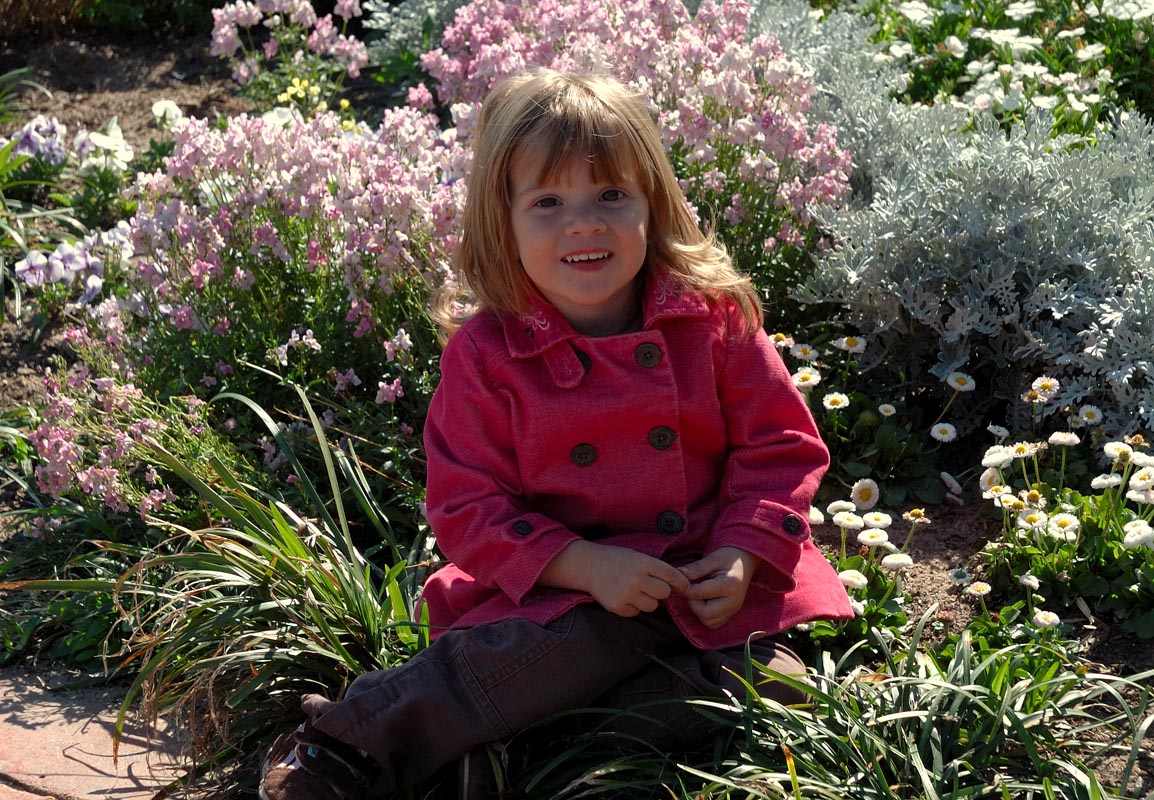 Among the Flowers