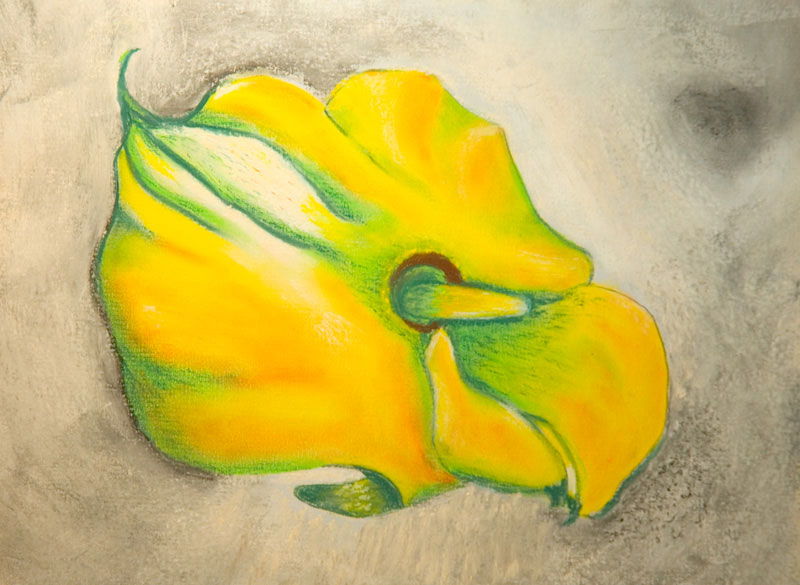Yellow Calla Revisited