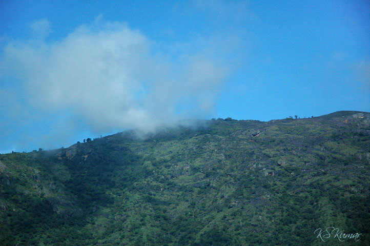 scenes from Ooty