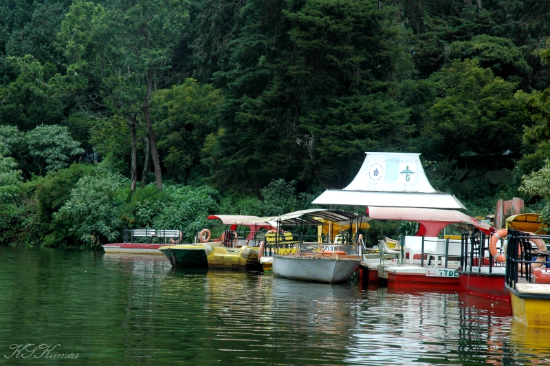 Scenes from Ooty