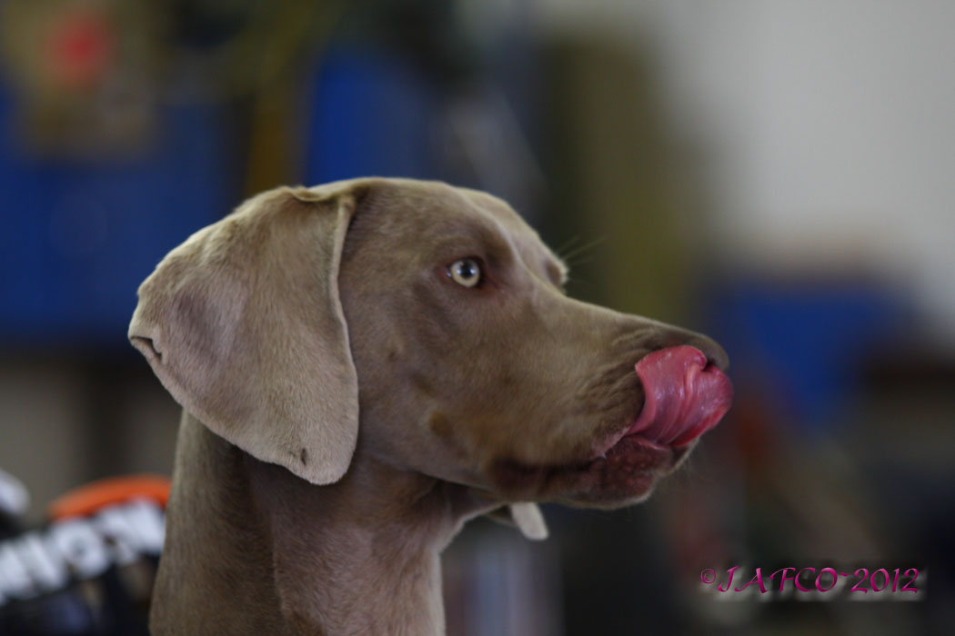 lip lickin good