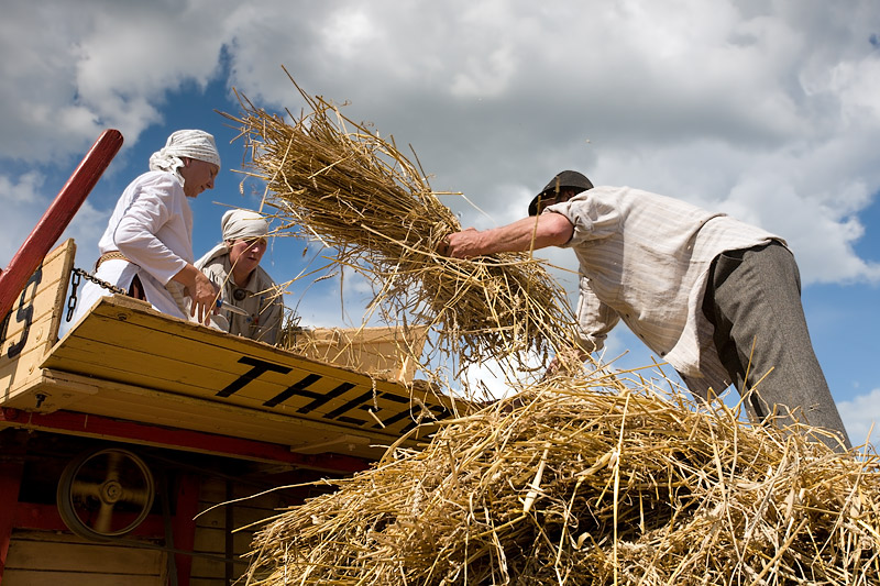 Cornhusking