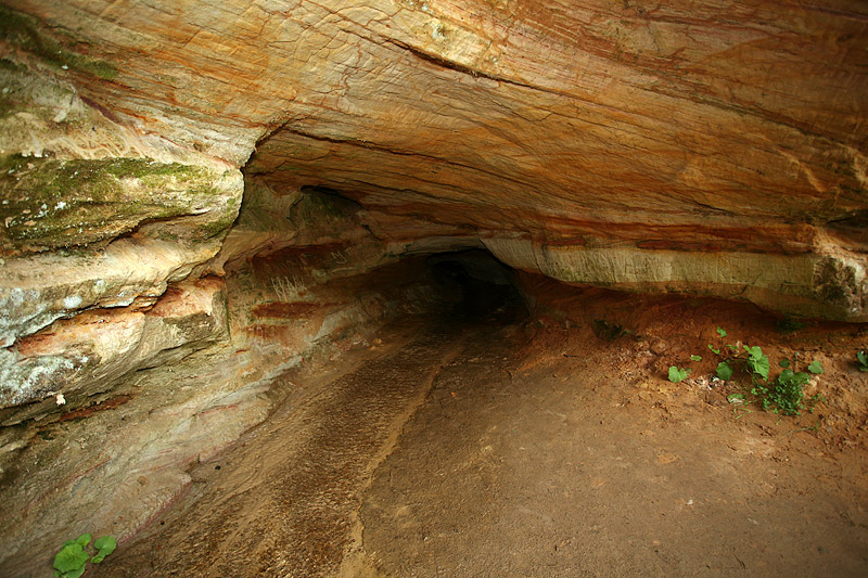 Ahja River Valley: Mother Spring