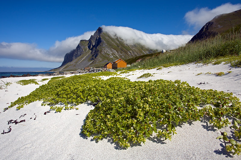 Flakstad Island: Vikten: Beach with Mountains and Clouds