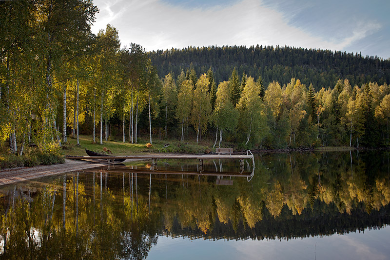 Krnklampi: Birches and Reflection