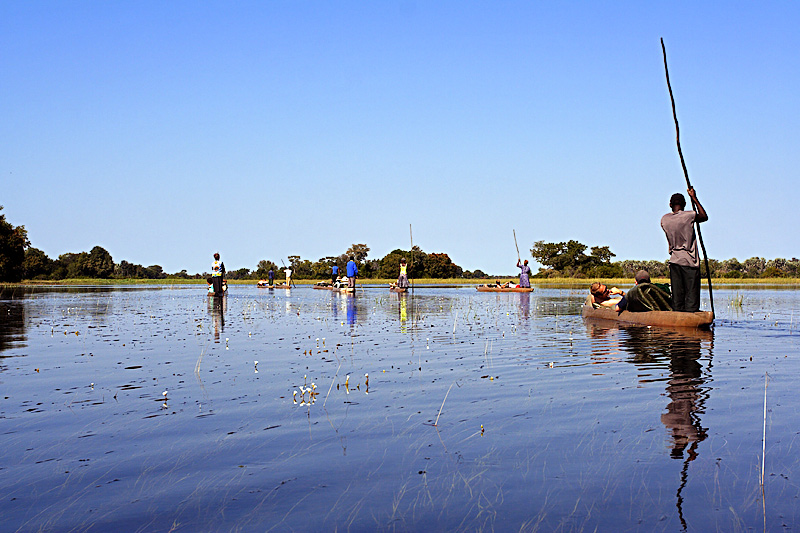 Mokoro Ride in Okavango Delta