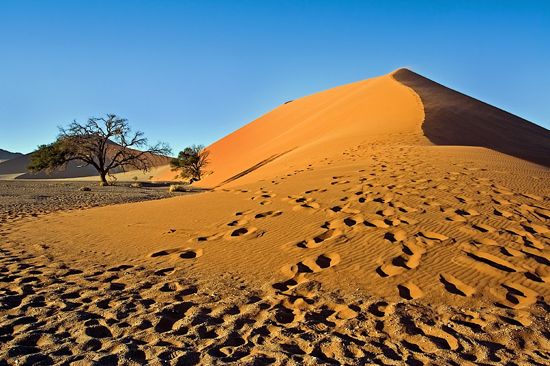Desert Morning (Sunrise on Dune with Footprints)