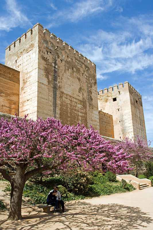 Alhambra: Alcazaba: Blooming Trees
