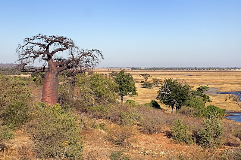 Zimbabwe-Namibia Border