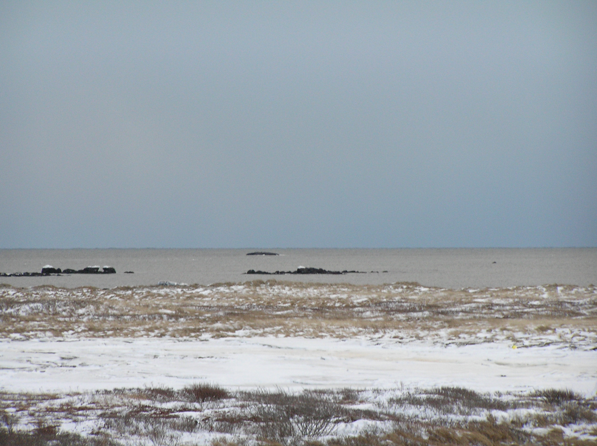 P1010029.JPG