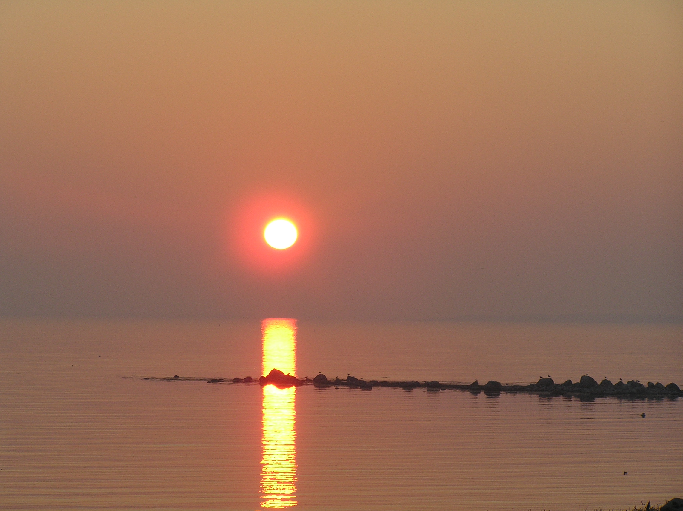 P1010003.JPG