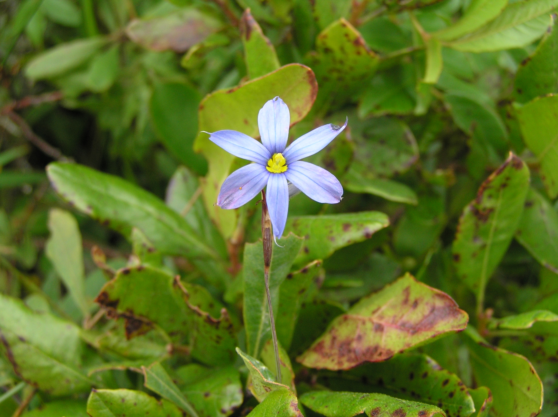 P1010007.JPG