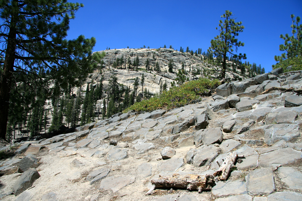 IMG_3880.JPG