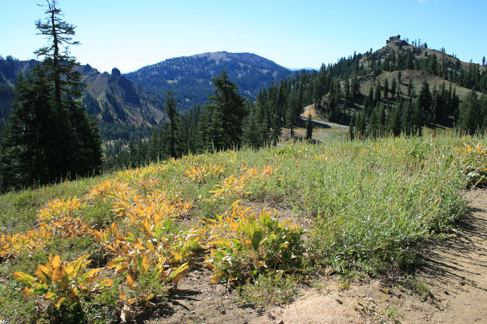 Lassen 375.jpg