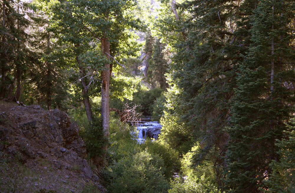 Five-foot waterfall on a small creek.