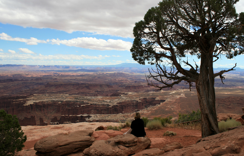 Contemplation