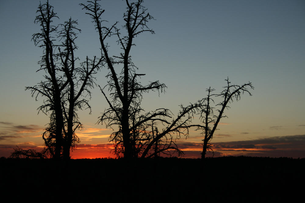 Sunset at the lodge
