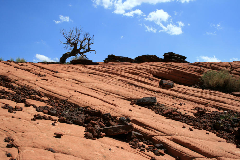 Hking the sandstone formations of Snow Canyon