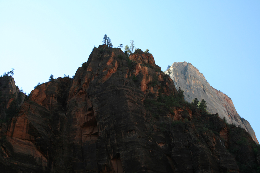 Observation Point Hike