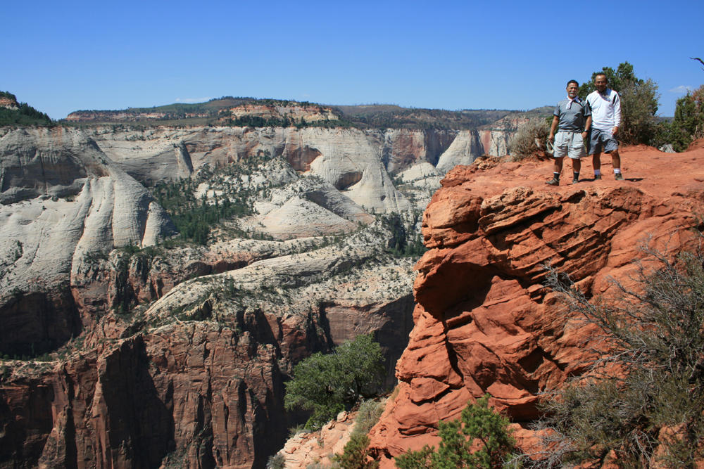 Observation Point