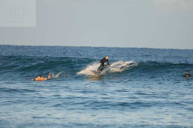 surfing delray  30089.jpg