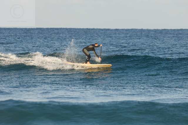 surfing delray  30179.jpg