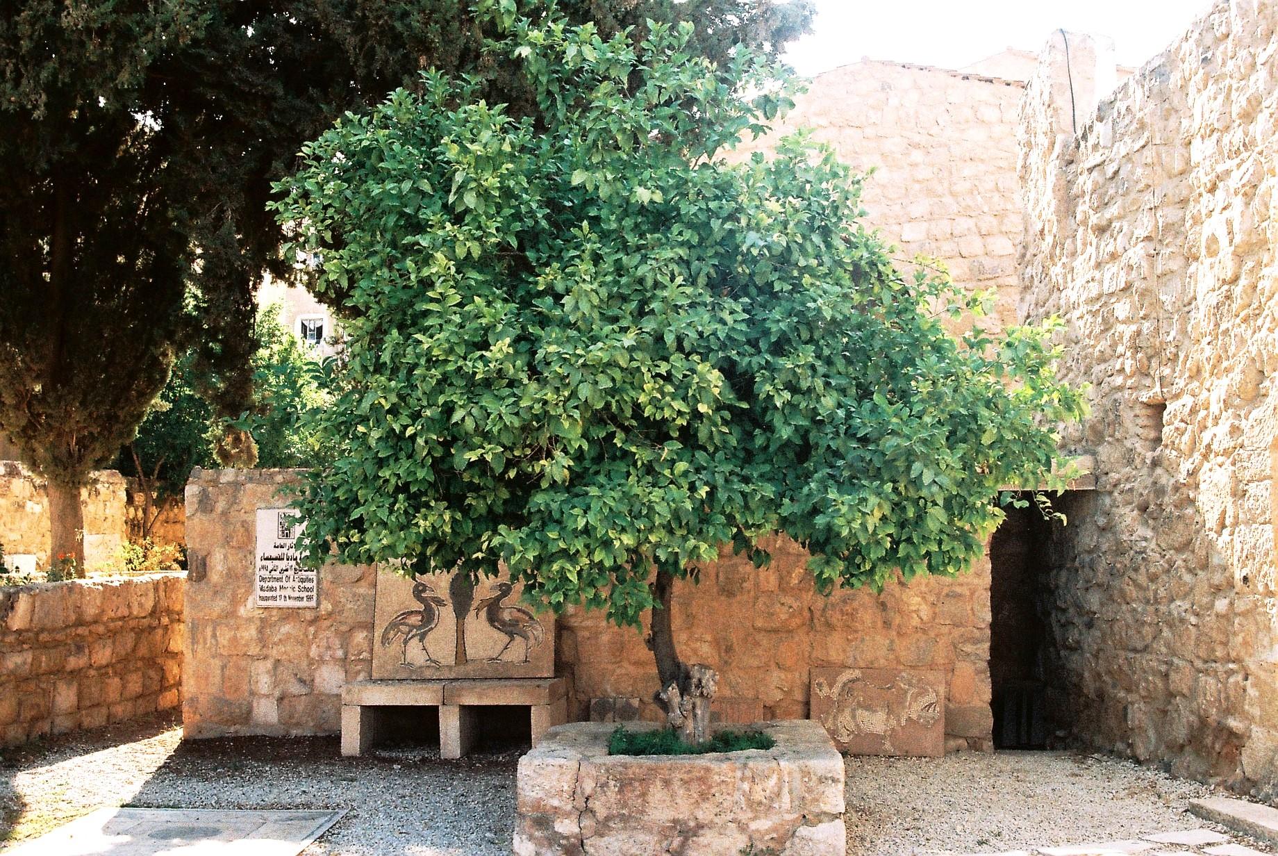 Madaba Mosaic School