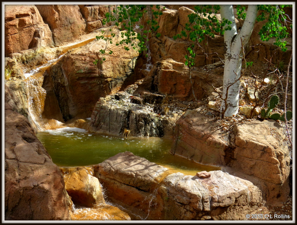 IMG_2107 A Habitat (Desert Oasis)