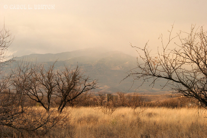 Rincon Mountains January Afternoon