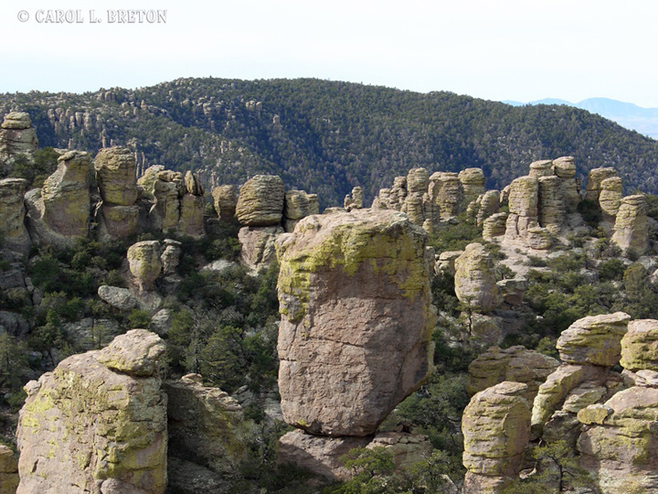 Chiricahua National Monument