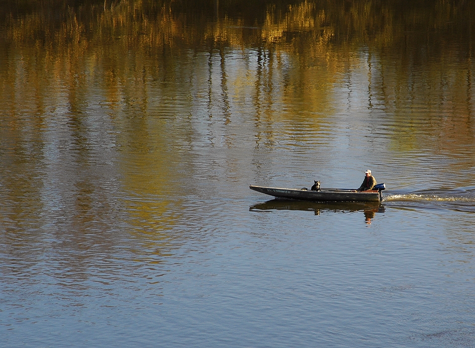 Boat and Dog