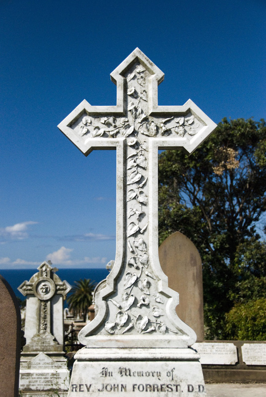 DSC_3598A.jpg