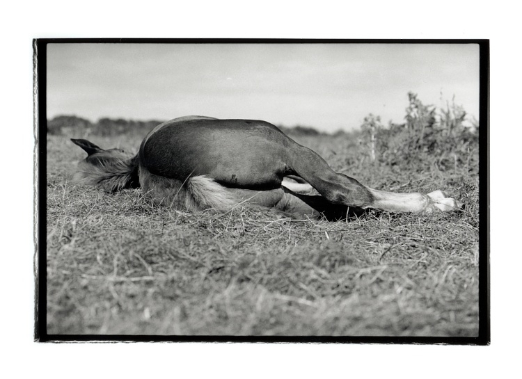 Des Horizons... (FB Warm Tone Print)